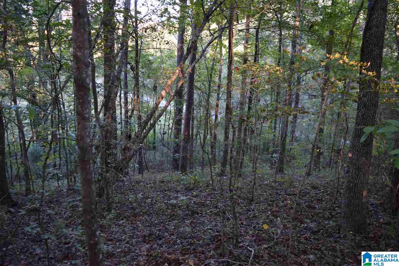 0 Mountain Lake Road, Unit LOT 7 Warrior, AL 35180 - Photo 8 of 11