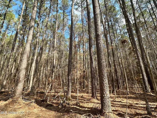 $325,000 | 6 Cut Off Road, Carthage, MS 39051