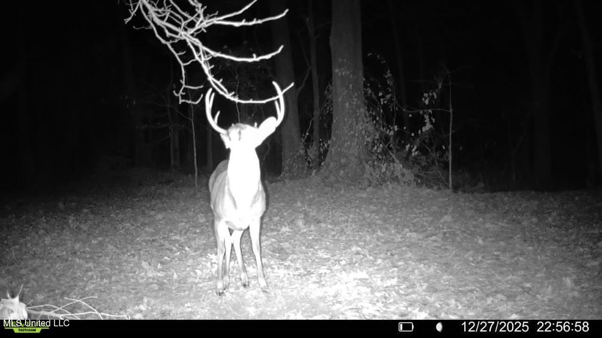6 Cut Off Road Carthage, MS 39051 - Photo 13 of 18 149