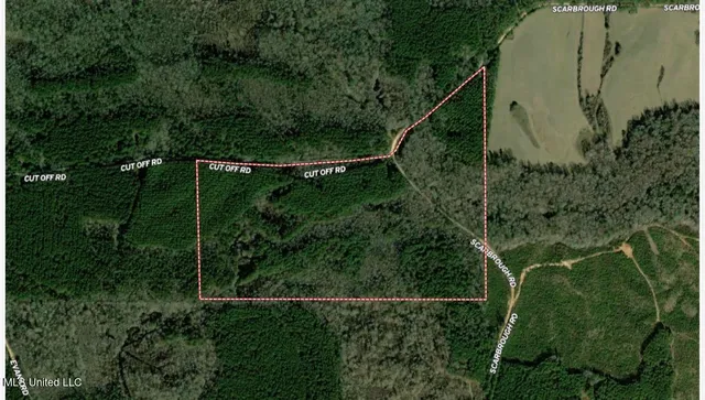 $325,000 | 6 Cut Off Road, Carthage, MS 39051