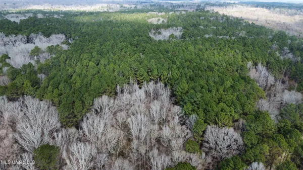 $325,000 | 6 Cut Off Road, Carthage, MS 39051