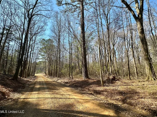 $325,000 | 6 Cut Off Road, Carthage, MS 39051