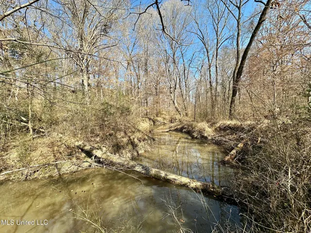 $325,000 | 6 Cut Off Road, Carthage, MS 39051