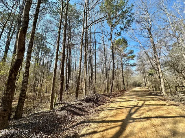 $325,000 | 6 Cut Off Road, Carthage, MS 39051