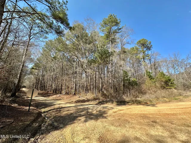 $325,000 | 6 Cut Off Road, Carthage, MS 39051