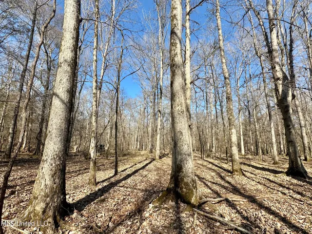 $325,000 | 6 Cut Off Road, Carthage, MS 39051