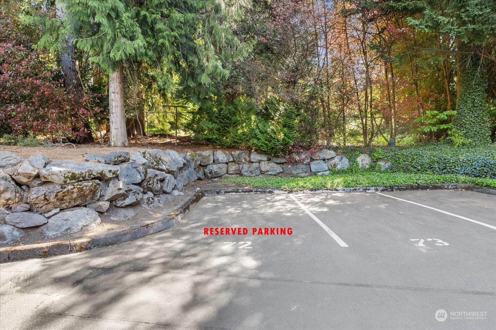 19316 Bothell Way Northeast, Unit C203 Bothell, WA 98011 - Photo 26 of 27 a street view with large trees