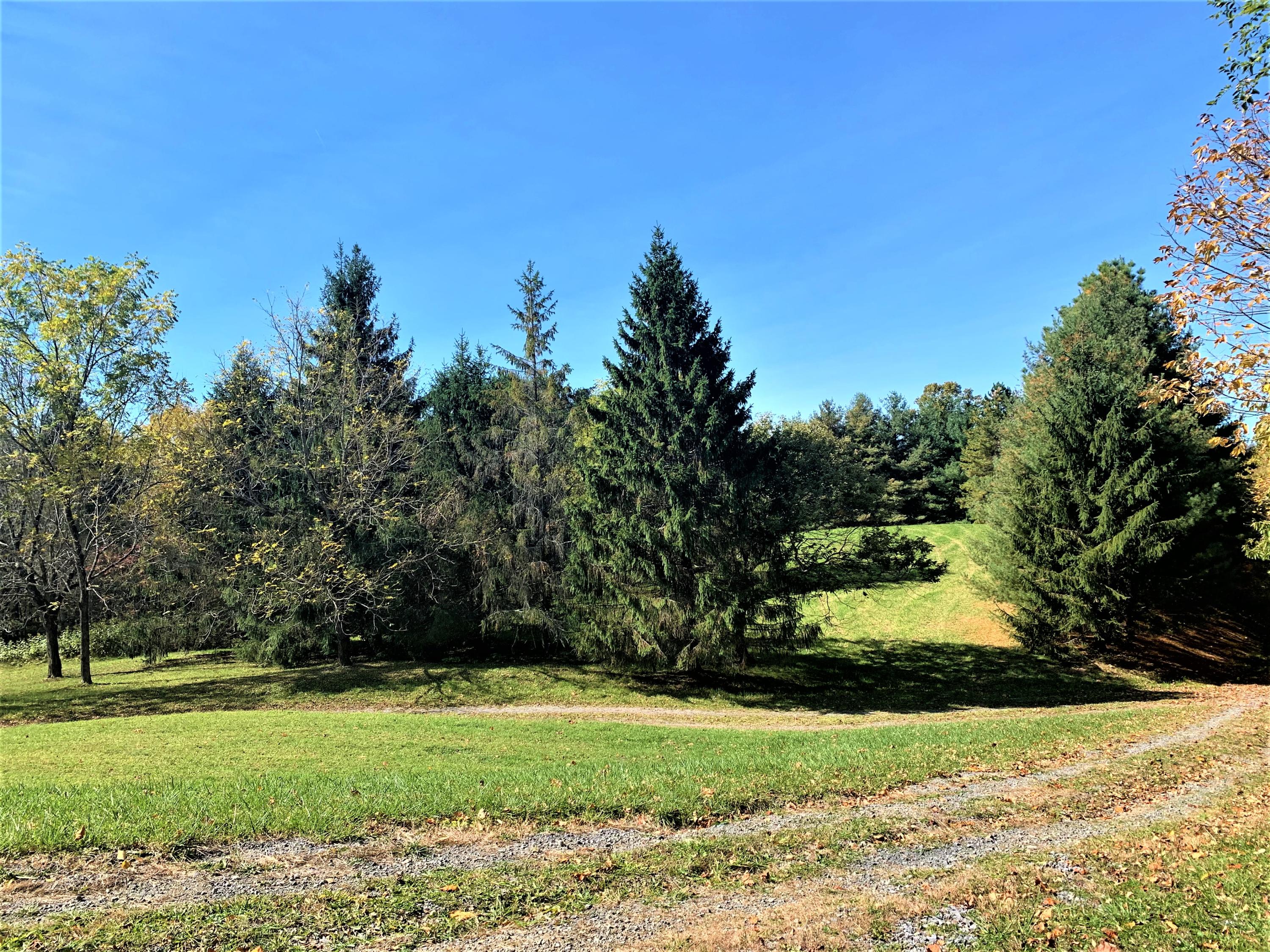 462 Thomas Loop Meadow Bridge, WV 25976 - Photo 17 of 53 Gallery Image 17