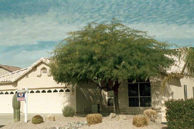3302 East Utopia Road Phoenix, AZ 85050 - Photo 1 of 1 Primary Photo