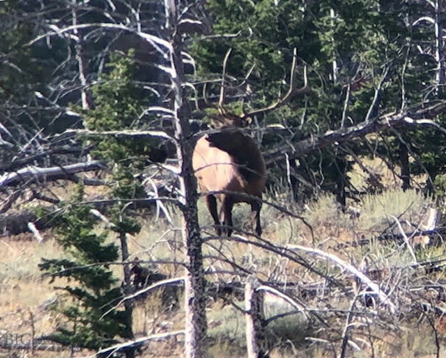659 Deadmans Canyon Road Reed Point, MT 59069 - Photo 19 of 96 Gallery Image 19
