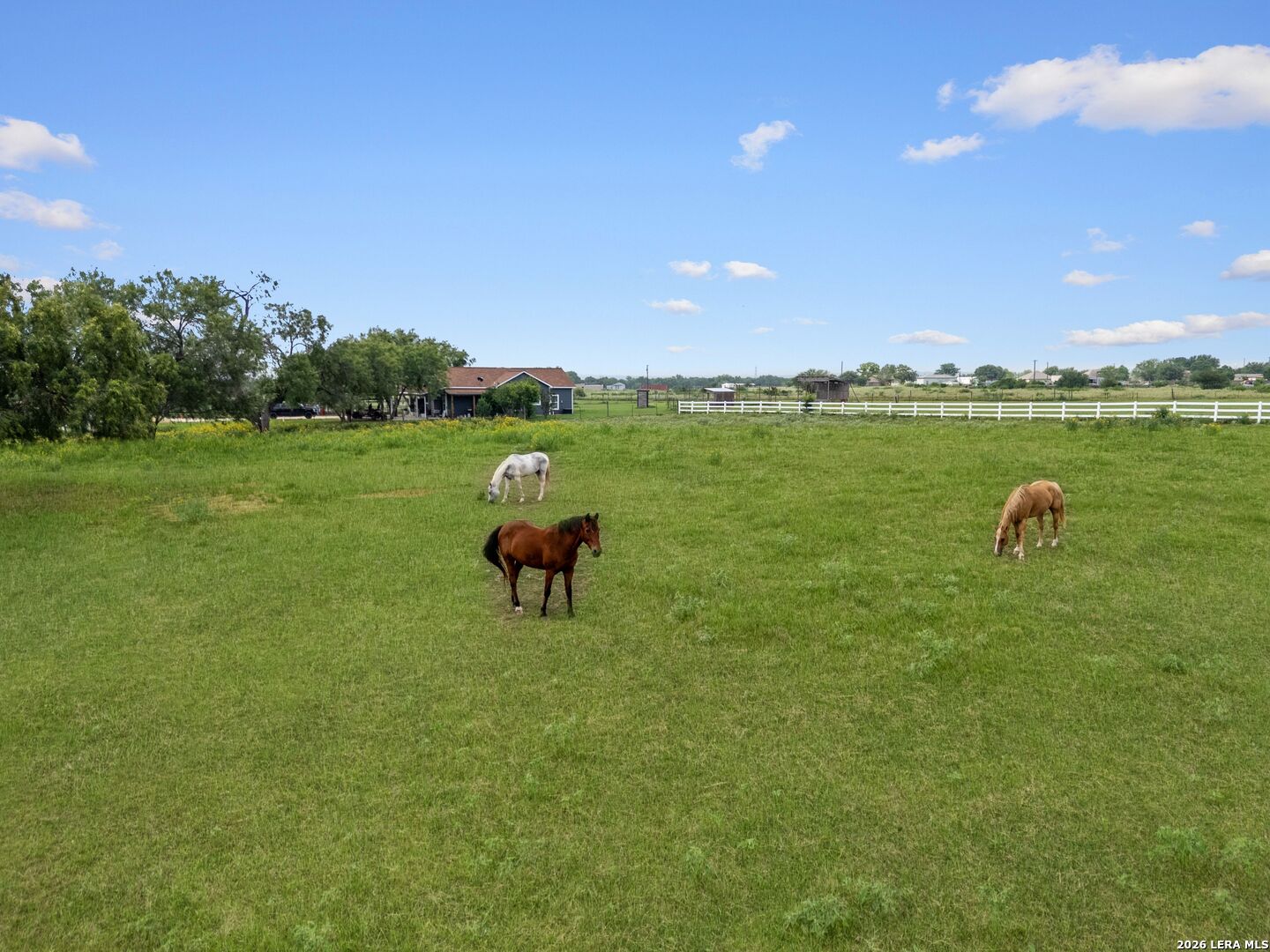 16371 Borregas Road Elmendorf, TX 78112 - Photo 73 of 80