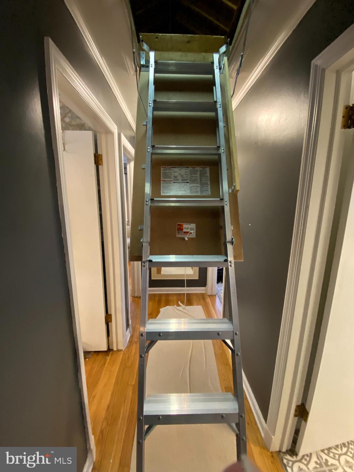 102 Choptank Terrace Cambridge, MD 21613 - Photo 22 of 25 Aluminum pull-down stairs to attic