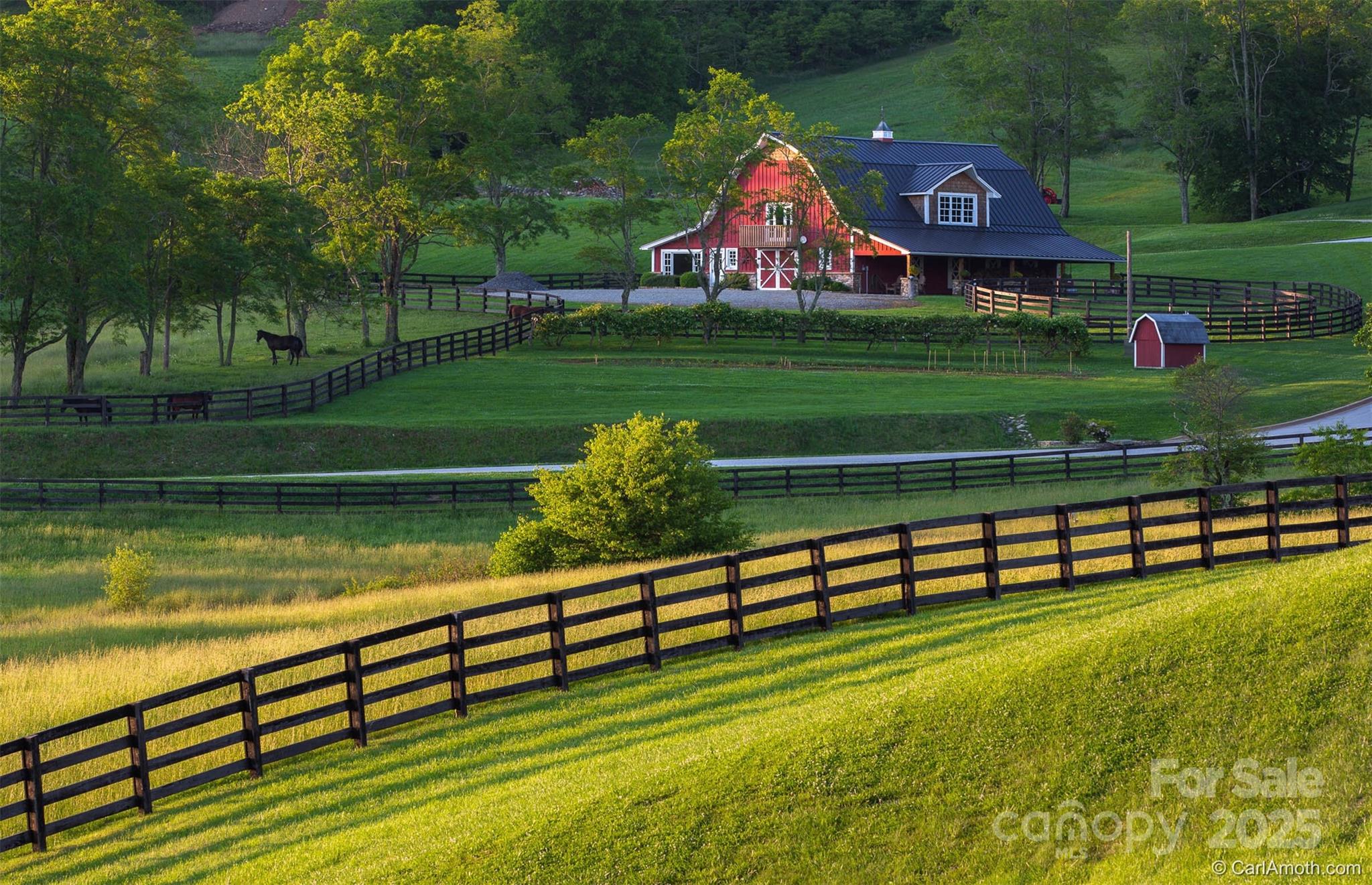 475 Dancing Bear Drive Hendersonville, NC 28792 - Photo 21 of 29 a view of a garden with an outdoor space