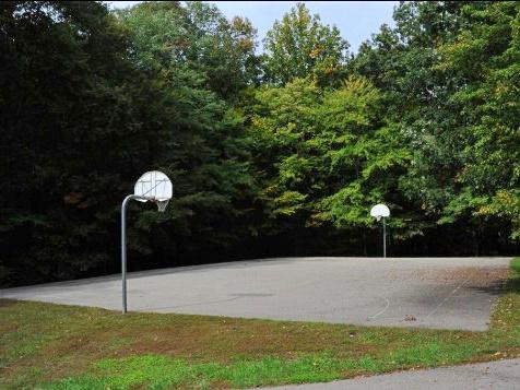8097 Winding Way Court Springfield, VA 22153 - Photo 42 of 44 Secluded court amidst nature