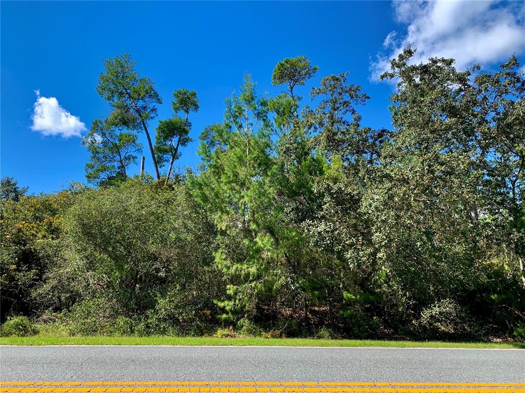 12 Royal Trails Road Eustis, FL 32736 - Photo 1 of 1 Gallery Image 1
