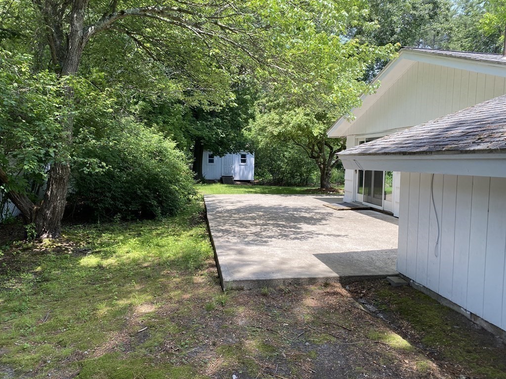 28 Savoy Road Framingham, MA 01701 - Photo 36 of 42 a view of a yard with plants and a large tree