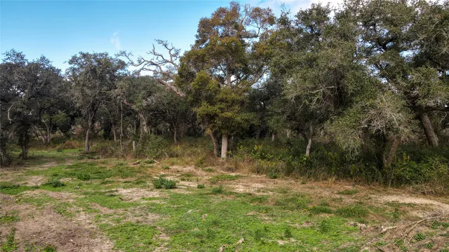 $270,000 | 0 County Road 461, Palacios, TX 77465