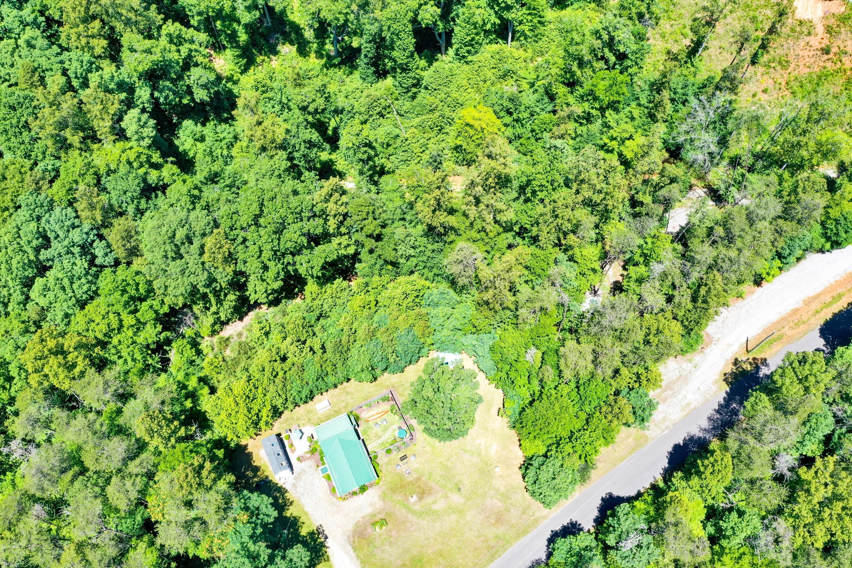 670 Twin Ridge Marina Road Henry, VA 24102 - Photo 46 of 87 a view of a yard