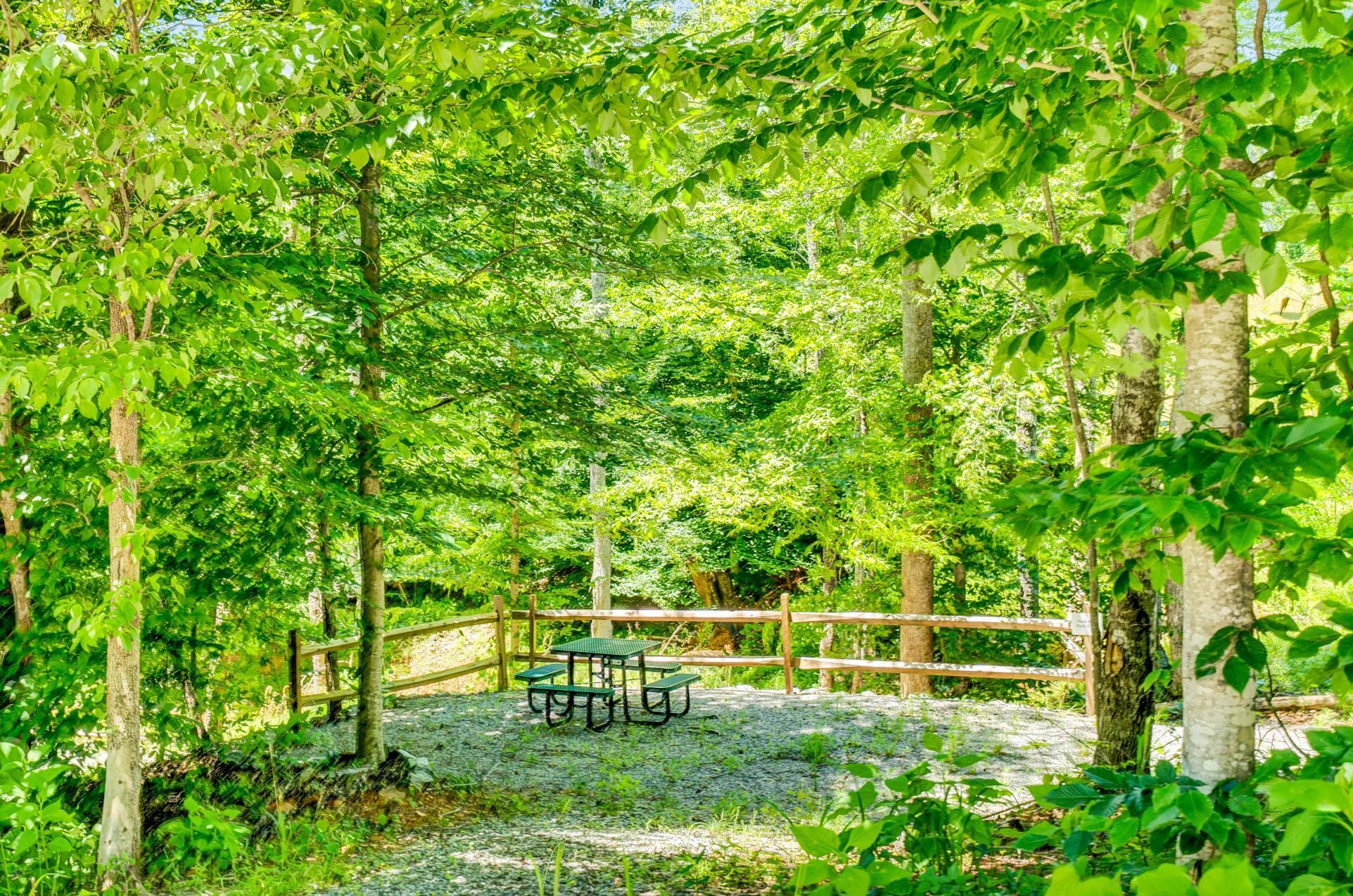 670 Twin Ridge Marina Road Henry, VA 24102 - Photo 78 of 87 a backyard of a house with lots of green space and plants