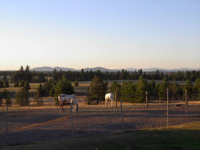 13714 West Deno Road Spokane, WA 99224 - Photo 6 of 6