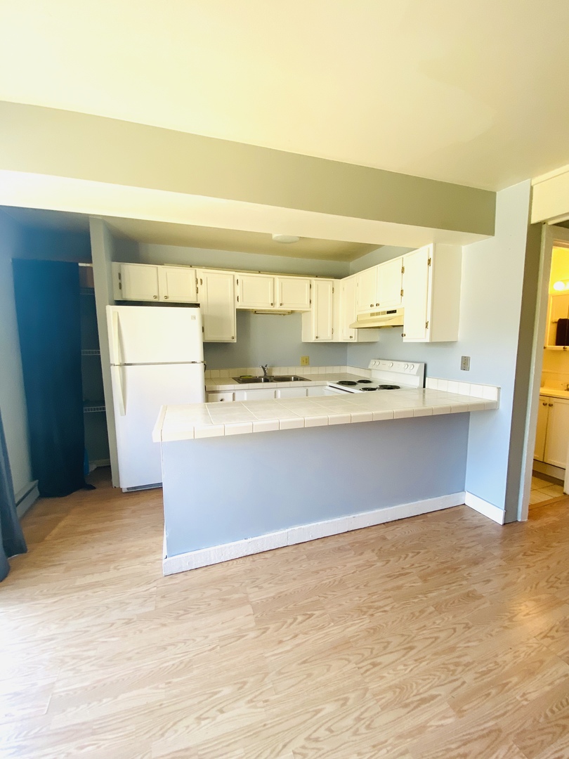 47 Nassau Colony, Unit 1 Fox Lake, IL 60020 - Photo 3 of 13 a kitchen with stainless steel appliances a sink and a stove