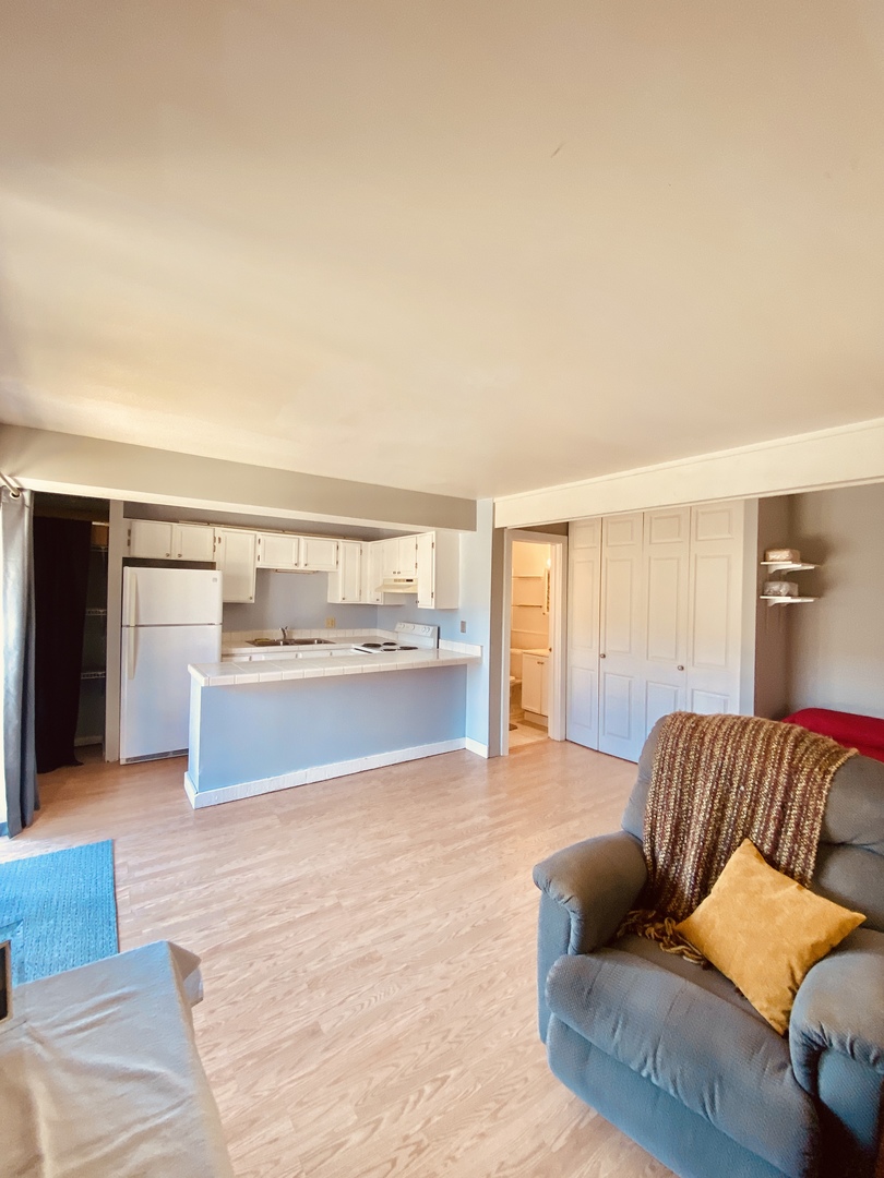 47 Nassau Colony, Unit 1 Fox Lake, IL 60020 - Photo 4 of 13 a living room with furniture and kitchen view