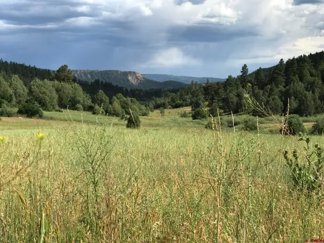 a view of a city with lush green forest