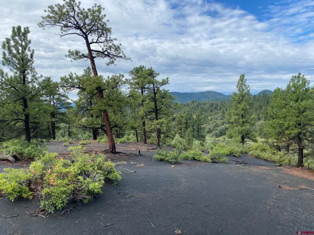 a view of a yard with mountain
