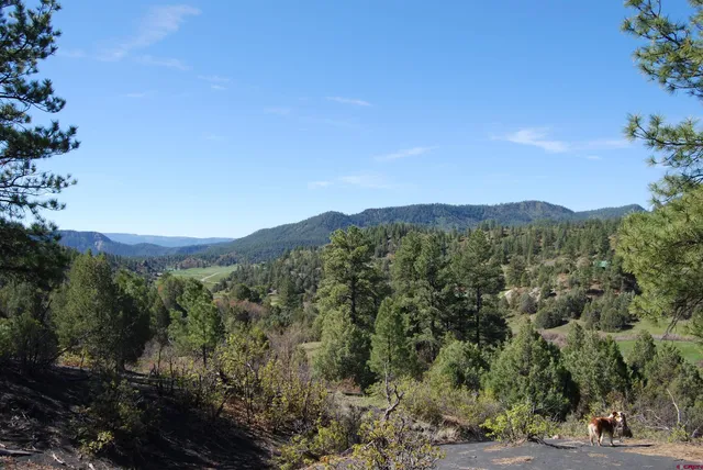 a view of outdoor space