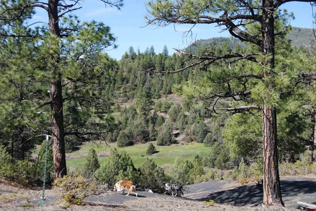 a view of a lake with houses in the background