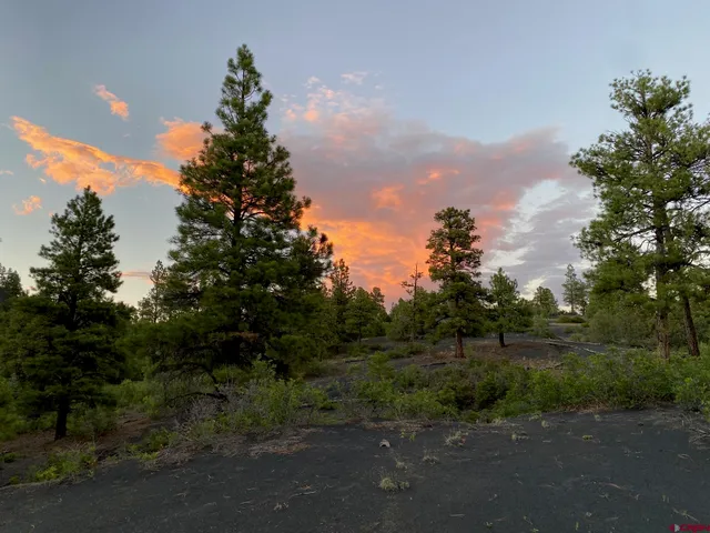 a view of a green field with trees in the background