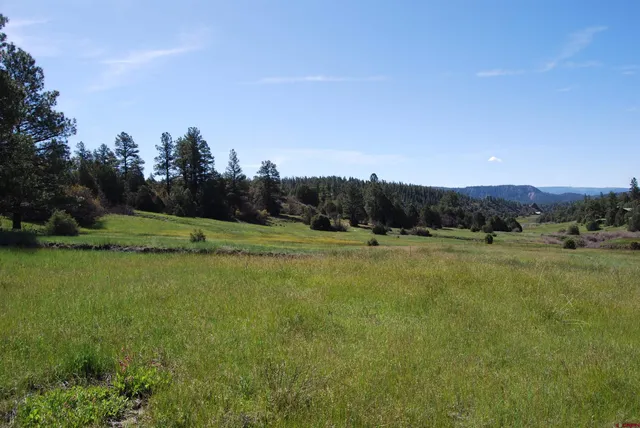 a view of an outdoor space and a yard