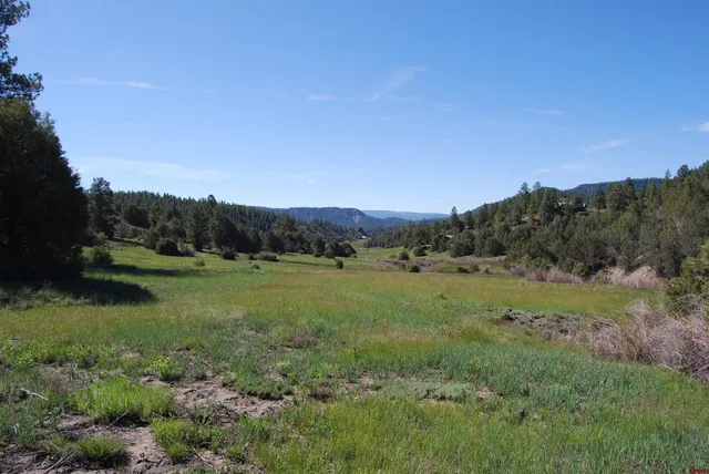 a view of a yard with wooden fence