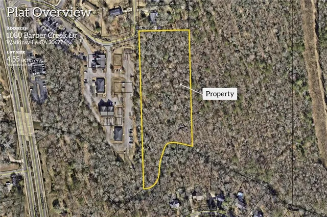 a close up of a shower curtain