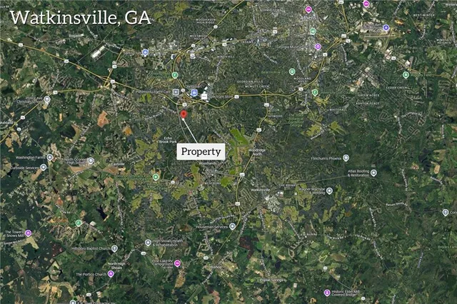 a view of a tree with an tree