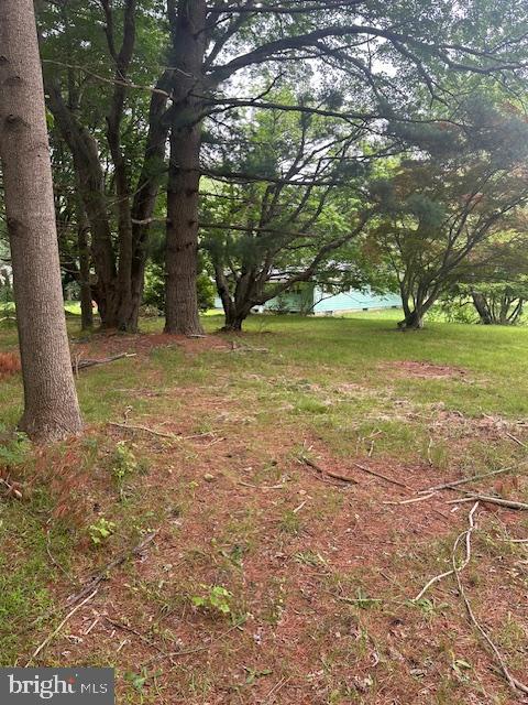 568 Quinton-Marlboro Road Bridgeton, NJ 08302 - Photo 5 of 15 a backyard of a house with lots of green space
