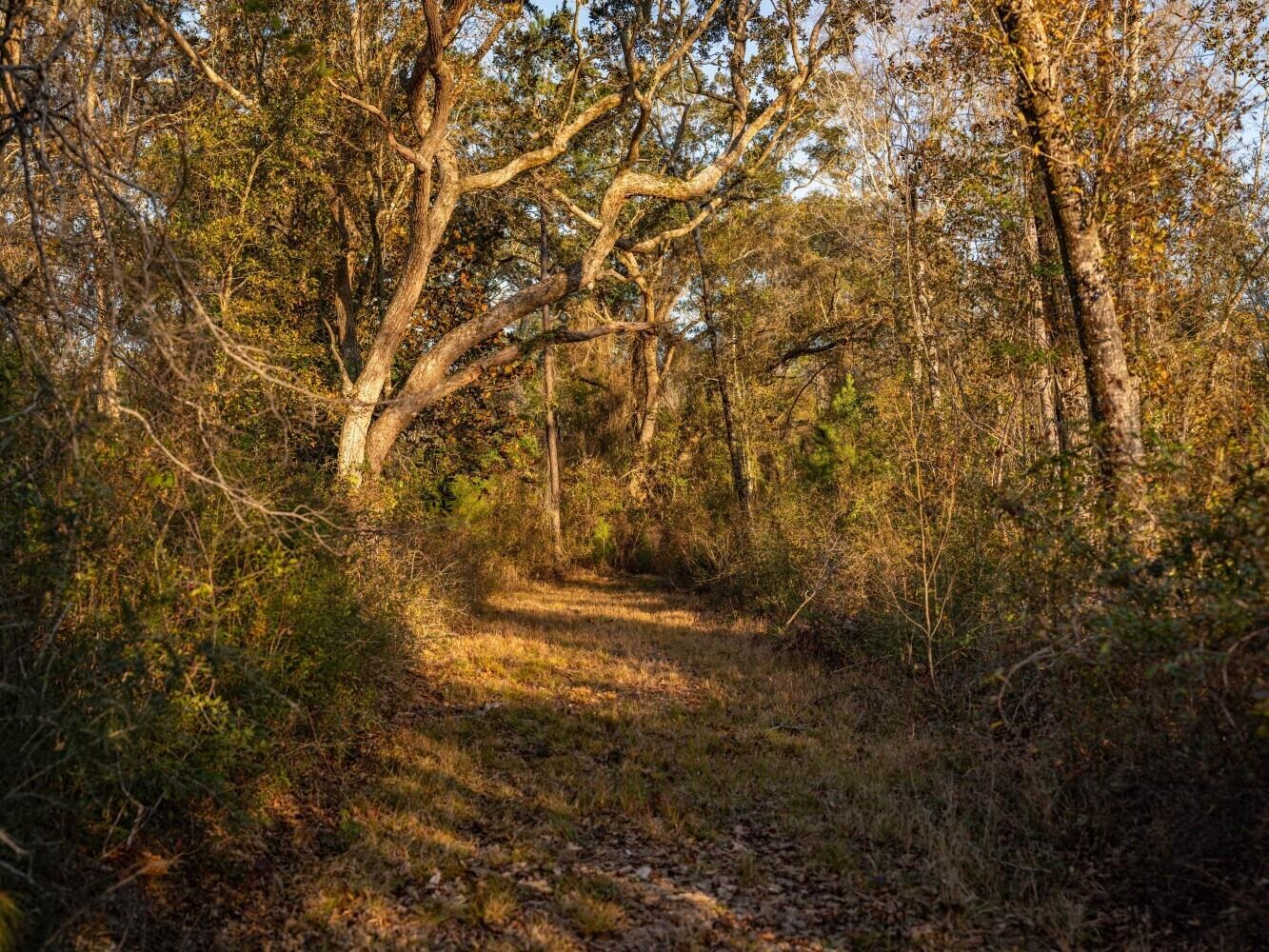 0 Kennedy Road Bon Secour, AL 36511 - Photo 4 of 25