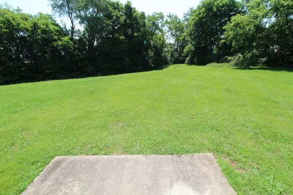 a view of a field of grass and trees