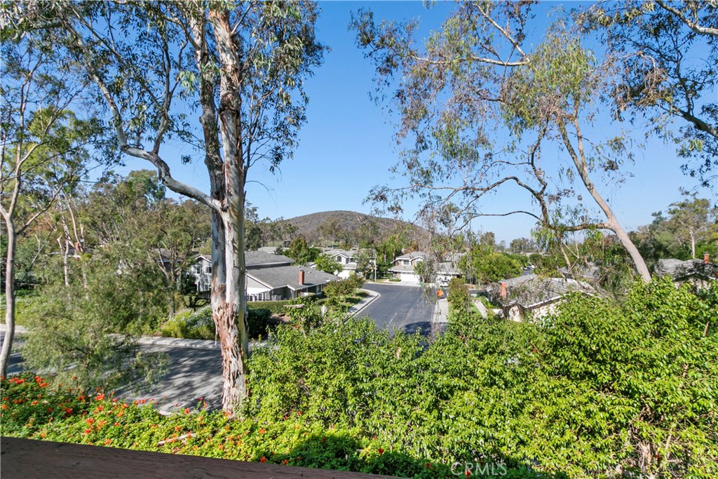 51 Rainbow Irvine, CA 92603 - Photo 17 of 25 a view of a garden