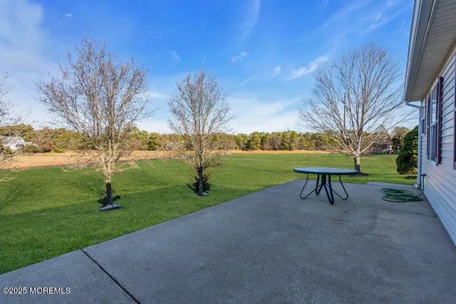 a view of a park with large trees