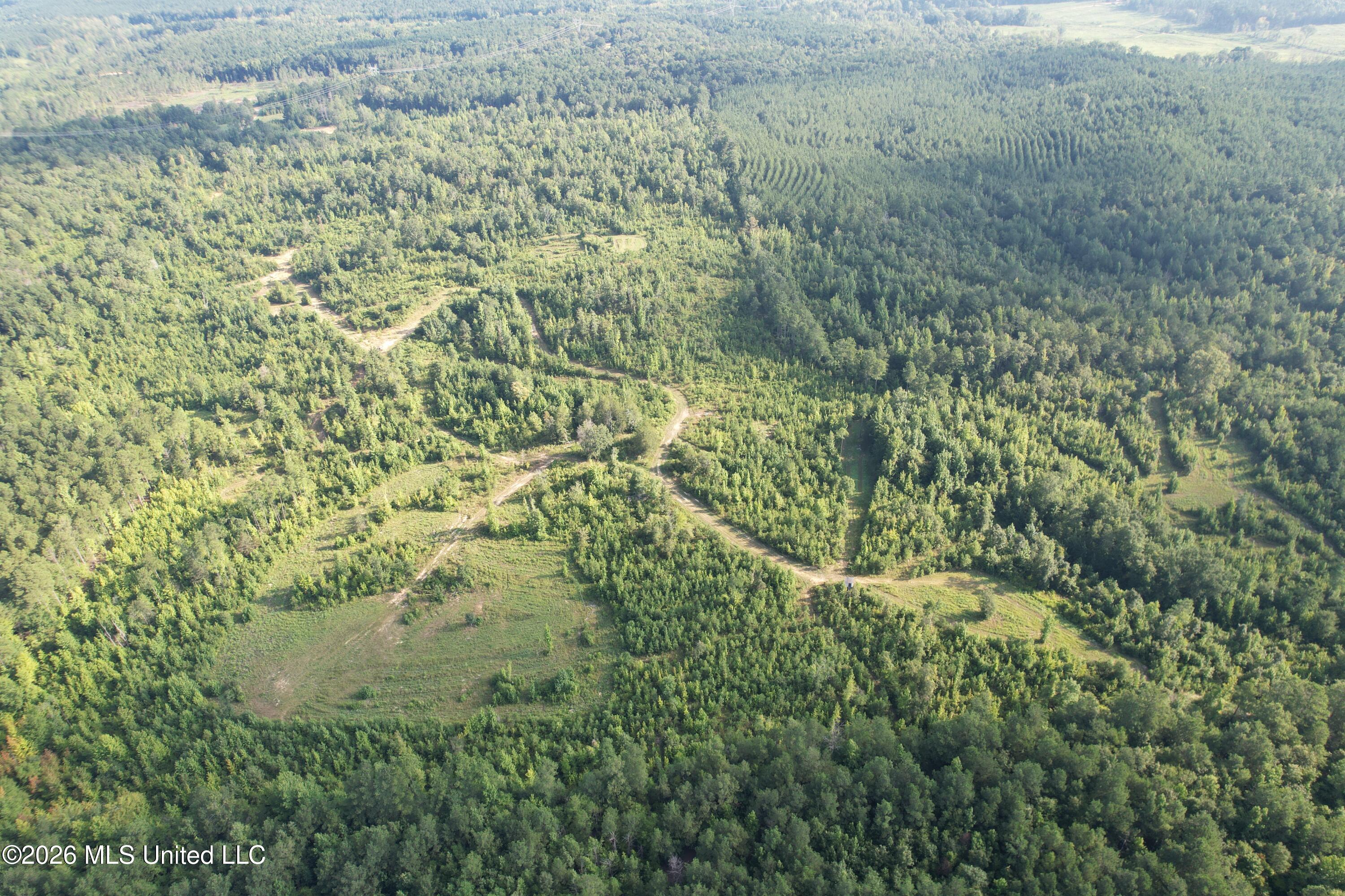 4102 Co Road Sallis, MS 39160 - Photo 20 of 35 dji_fly_20260804_083902_206_178585092212