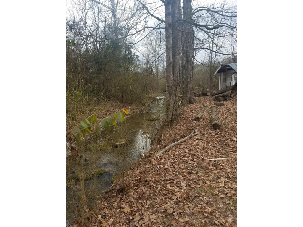 4735 Jones Bridge Road Greeneville, TN 37743 - Photo 15 of 19 Photo 15