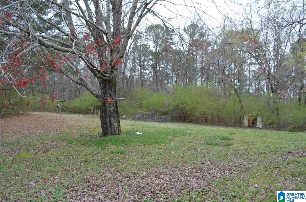 5757 Cooper Road Trussville, AL 35173 - Photo 19 of 20