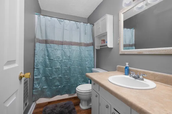 a bathroom with a sink a toilet and shower