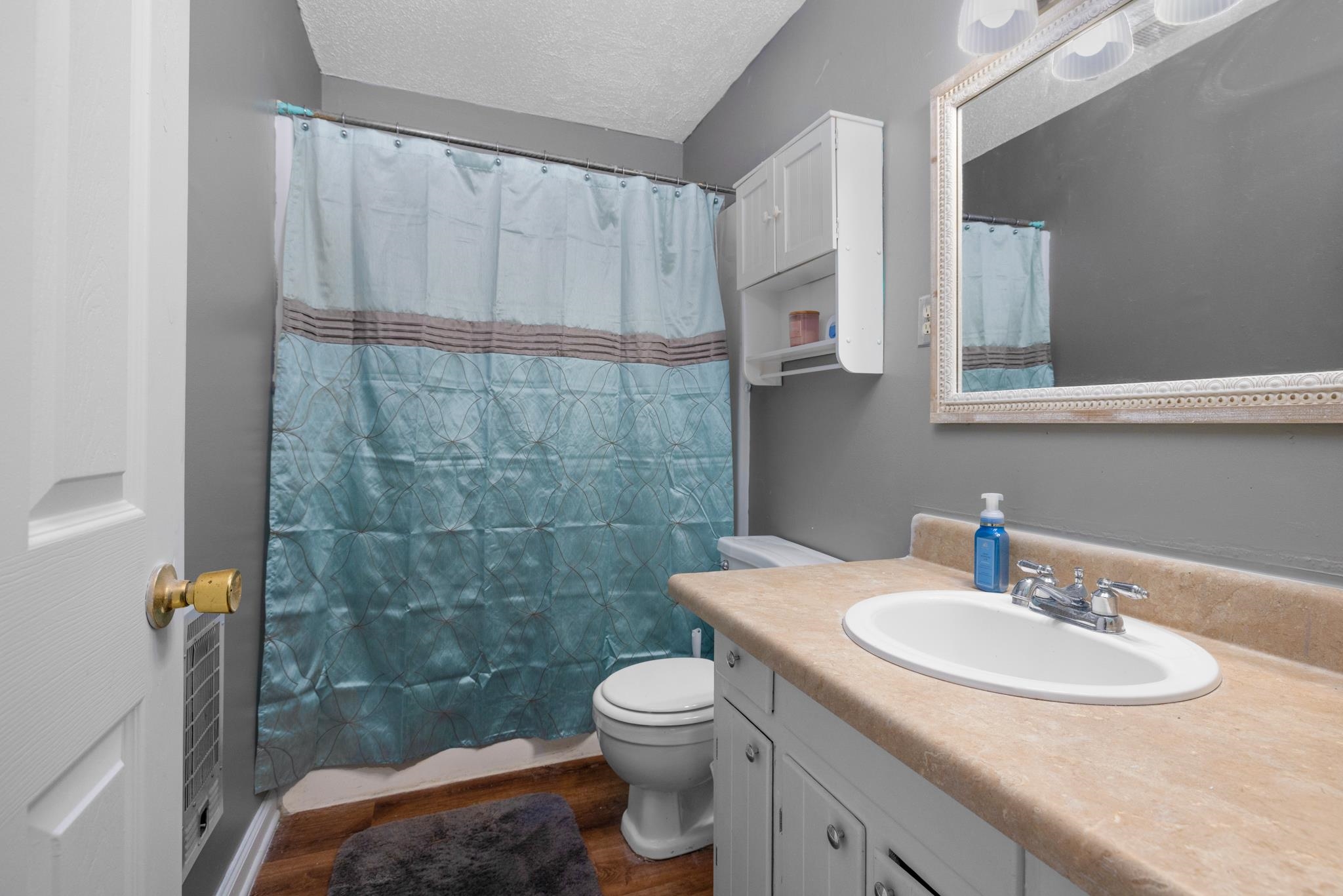 163 Michelle Street Burlison, TN 38015 - Photo 9 of 13 a bathroom with a sink a toilet and shower
