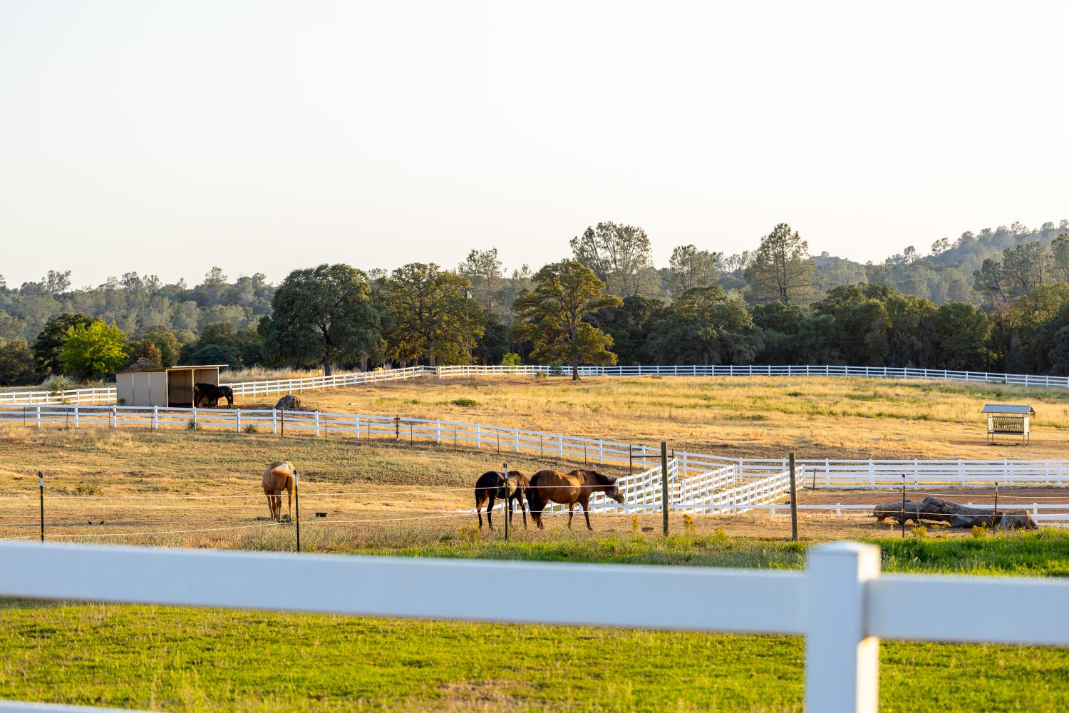 20945 Bear Hollow Road Grass Valley, CA 95949 - Photo 16 of 82 a view of swimming pool with outdoor seating