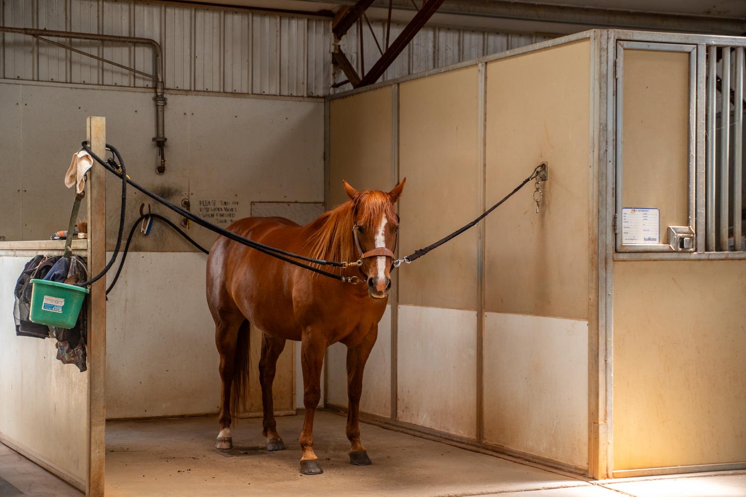 20945 Bear Hollow Road Grass Valley, CA 95949 - Photo 23 of 82