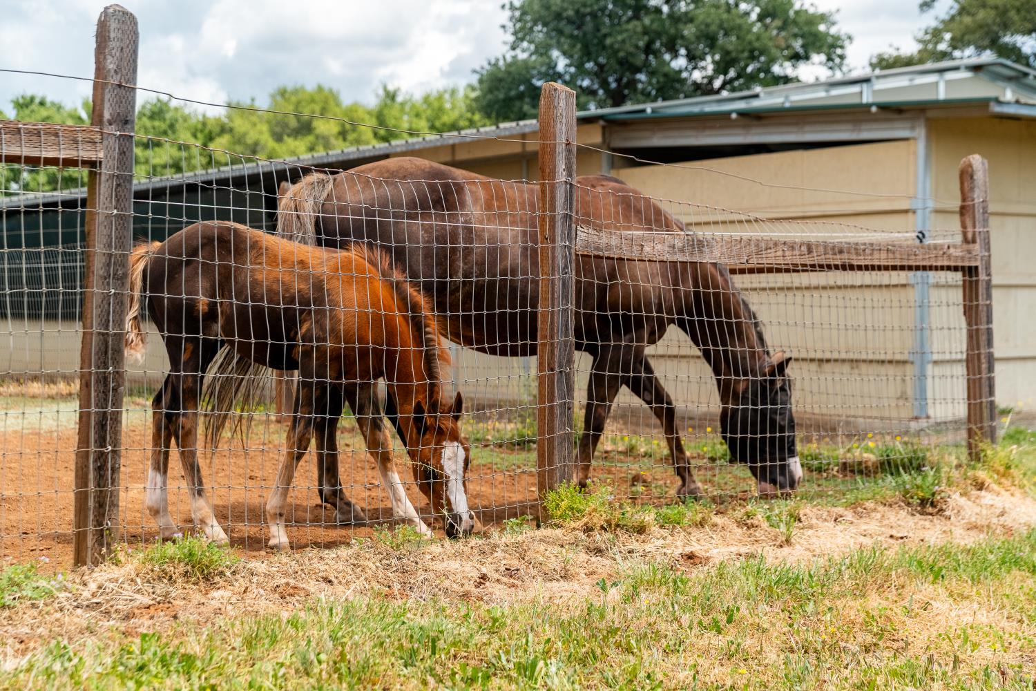 20945 Bear Hollow Road Grass Valley, CA 95949 - Photo 28 of 82 a view of a entertaining space