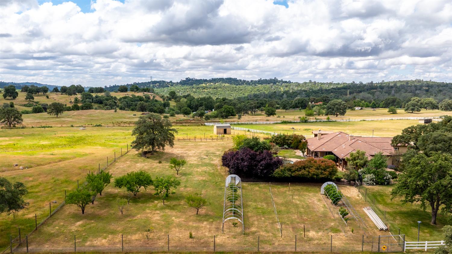 20945 Bear Hollow Road Grass Valley, CA 95949 - Photo 69 of 82 Orchard (Lemon, Orange, Grapefruit, Almonds, Plumbs, Apple, Pear)