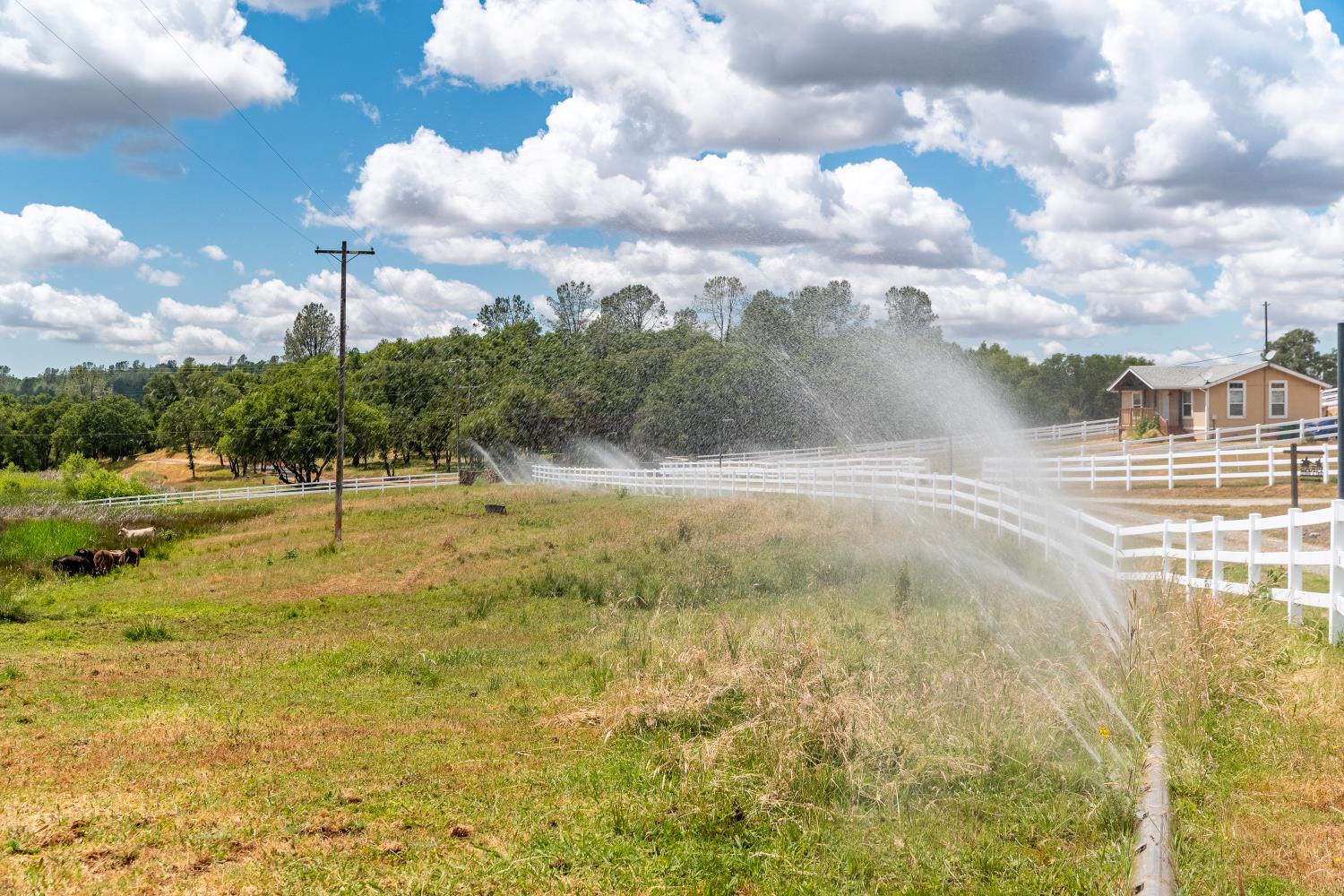 20945 Bear Hollow Road Grass Valley, CA 95949 - Photo 77 of 82 a view of a swimming pool with a yard